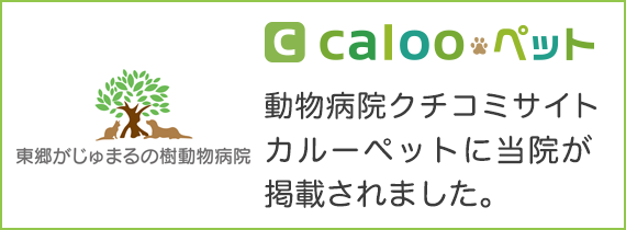 動物病院クチコミサイト「カルーペット」に当院が掲載されました。